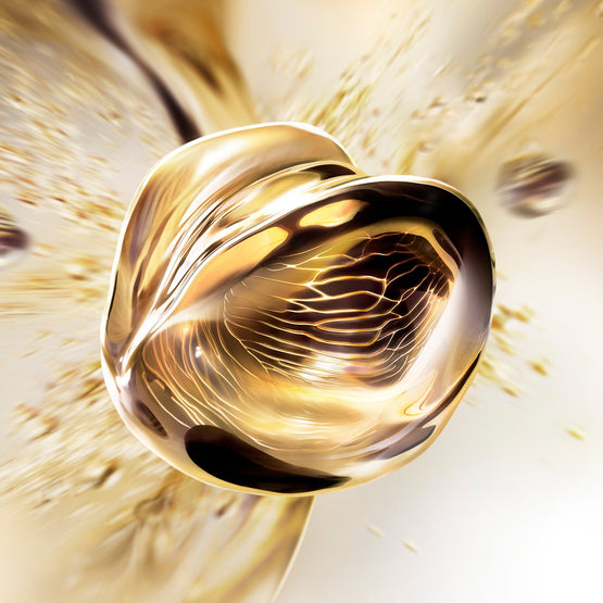 LANCOME ABSOLUE LONGEVITY THE SOFT CREAM 60ML *